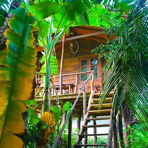 Kolon Sigiriya