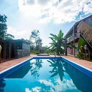 Jungle Hut Hotel