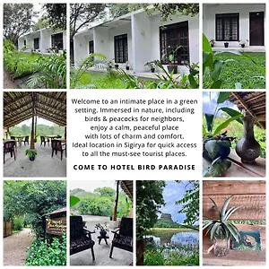  Hotel Bird Paradise